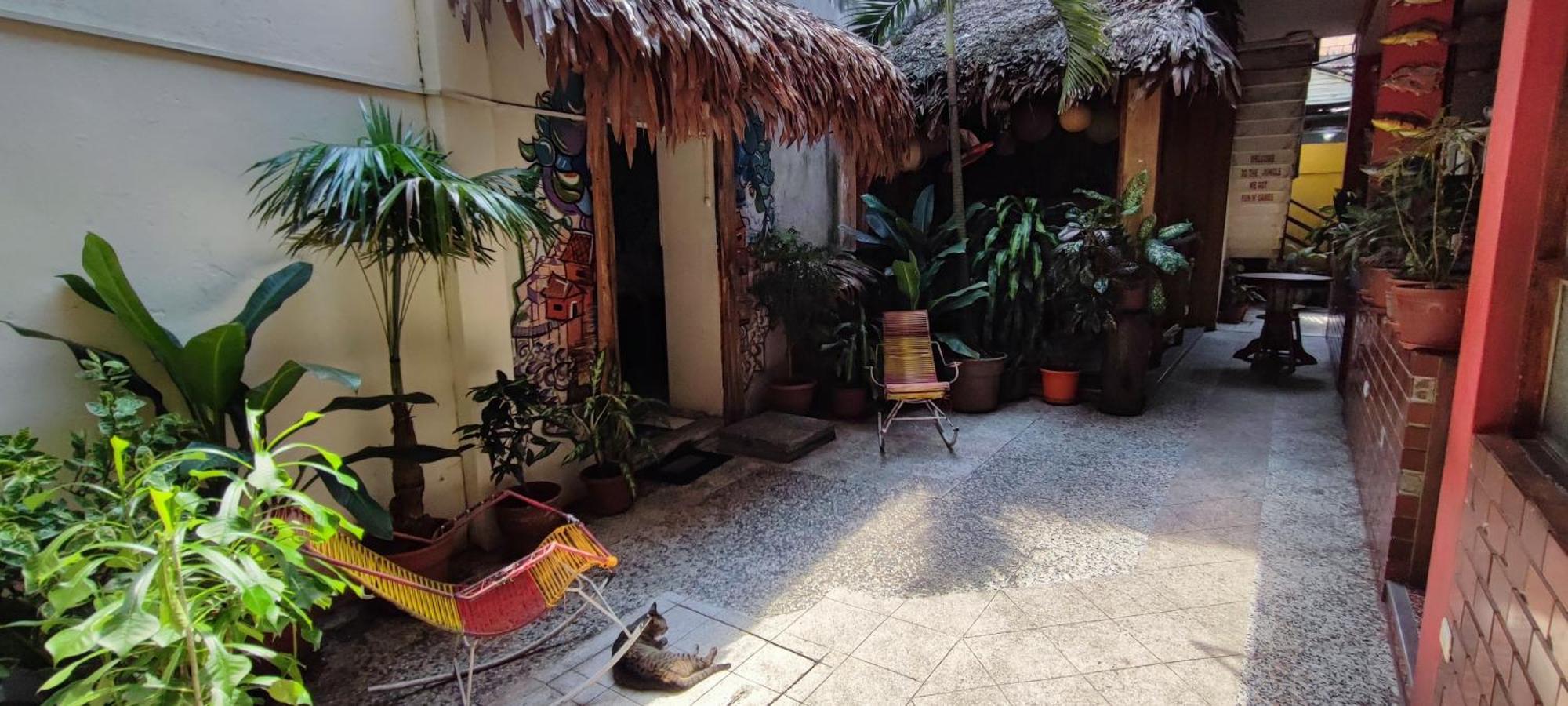Flying Dog Hostel Iquitos Eksteriør billede