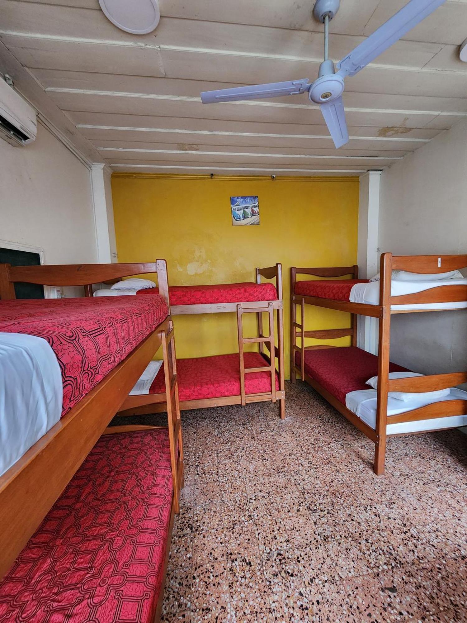 Flying Dog Hostel Iquitos Eksteriør billede