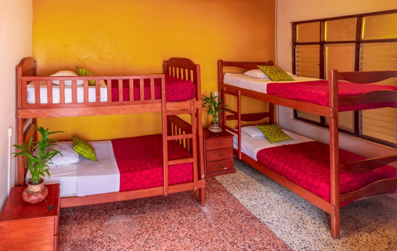 Flying Dog Hostel Iquitos Eksteriør billede