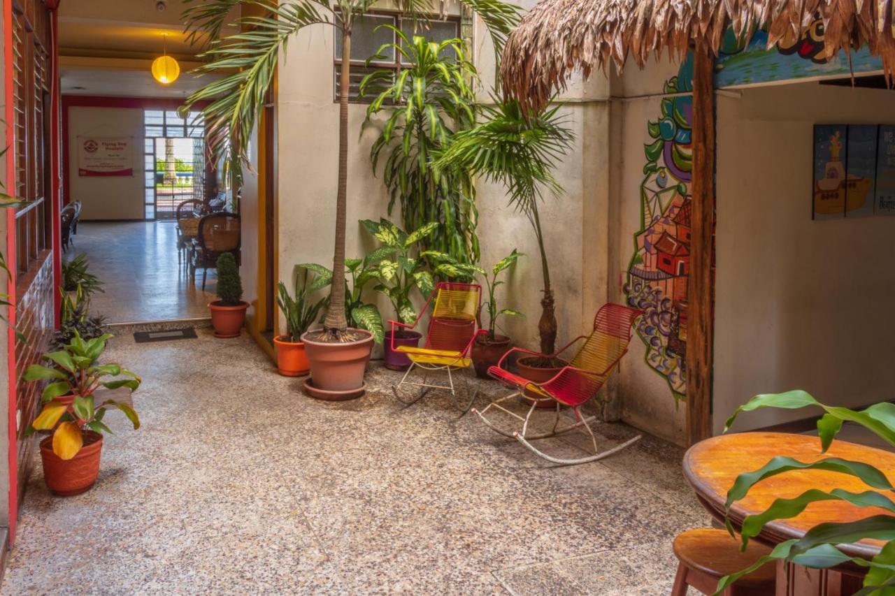Flying Dog Hostel Iquitos Eksteriør billede